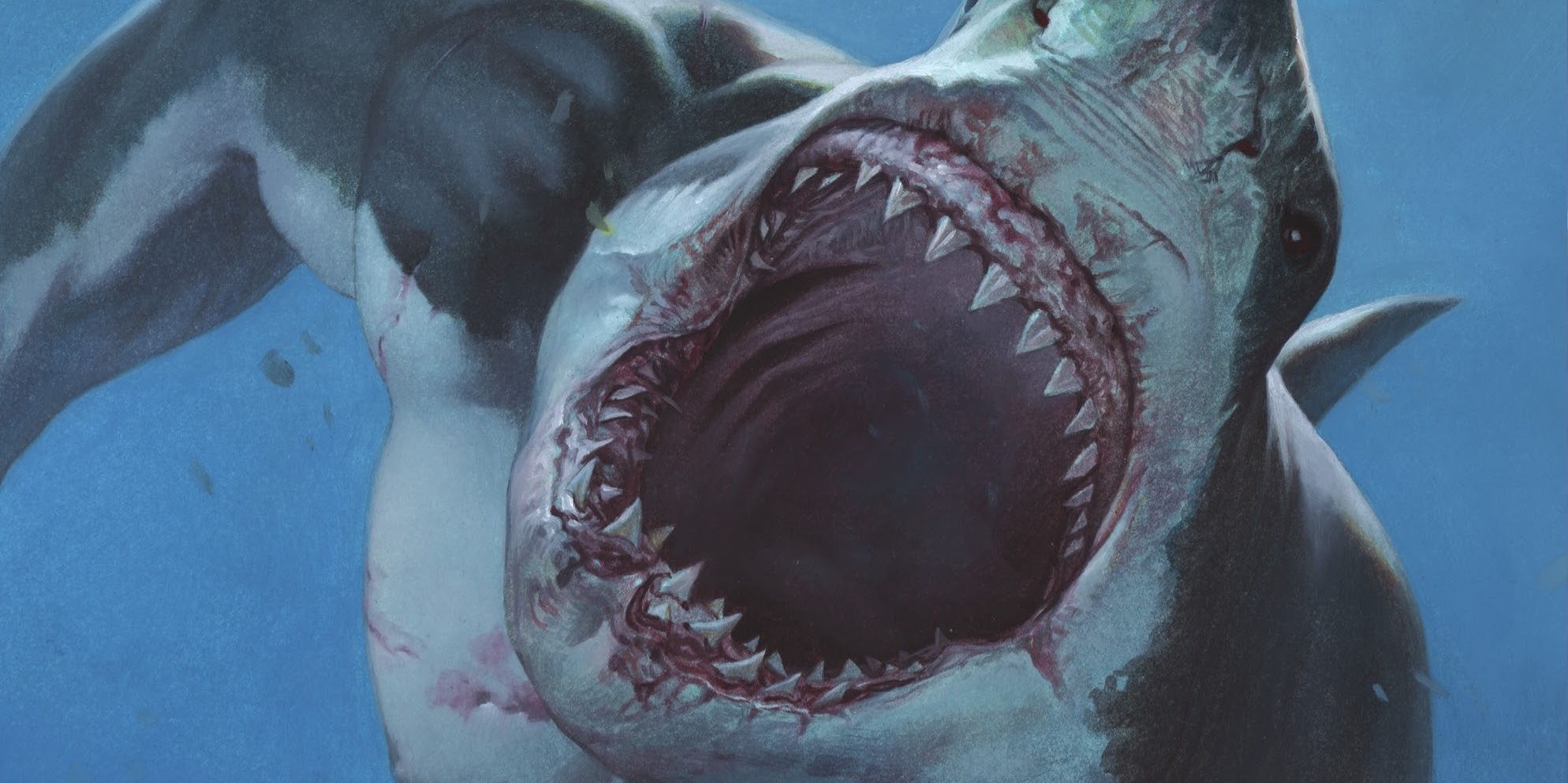 King Shark Will Prove Hes DCs Most Powerful Animal Hybrid
