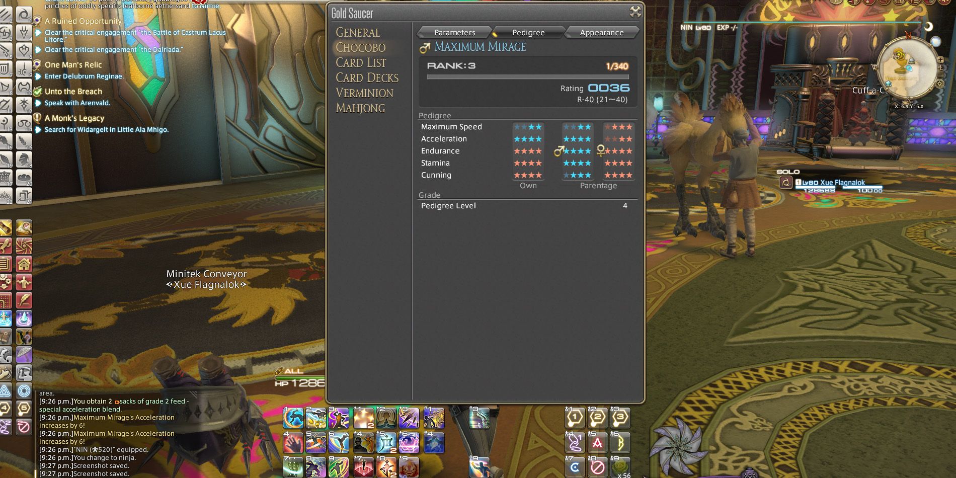 How to Race Chocobos in Final Fantasy XIV