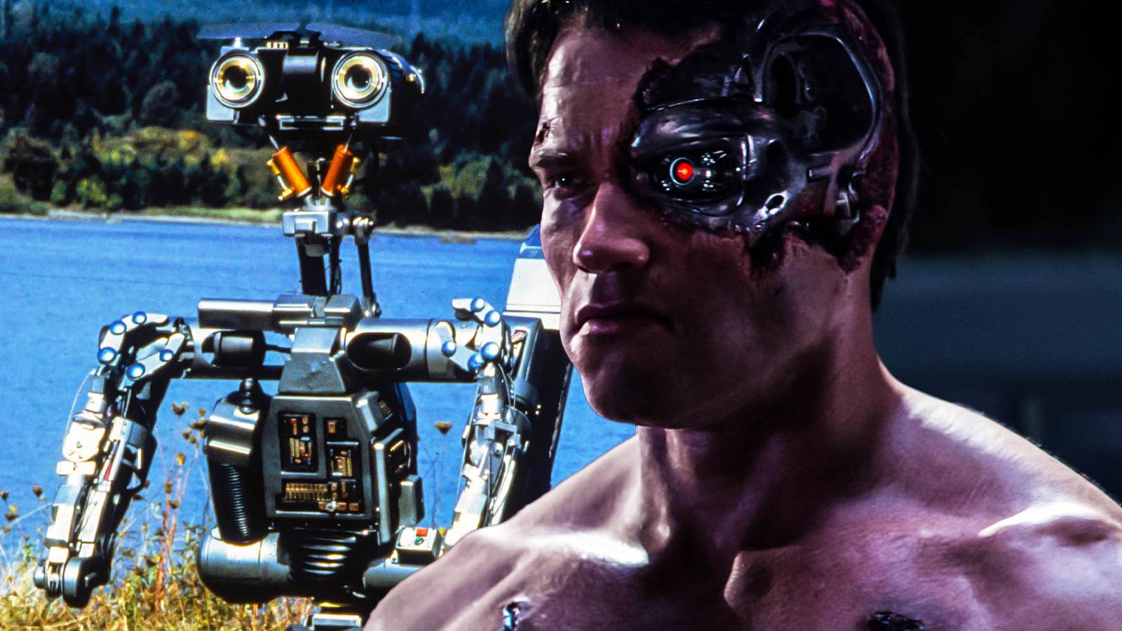 Short Circuit Set Up Terminator.