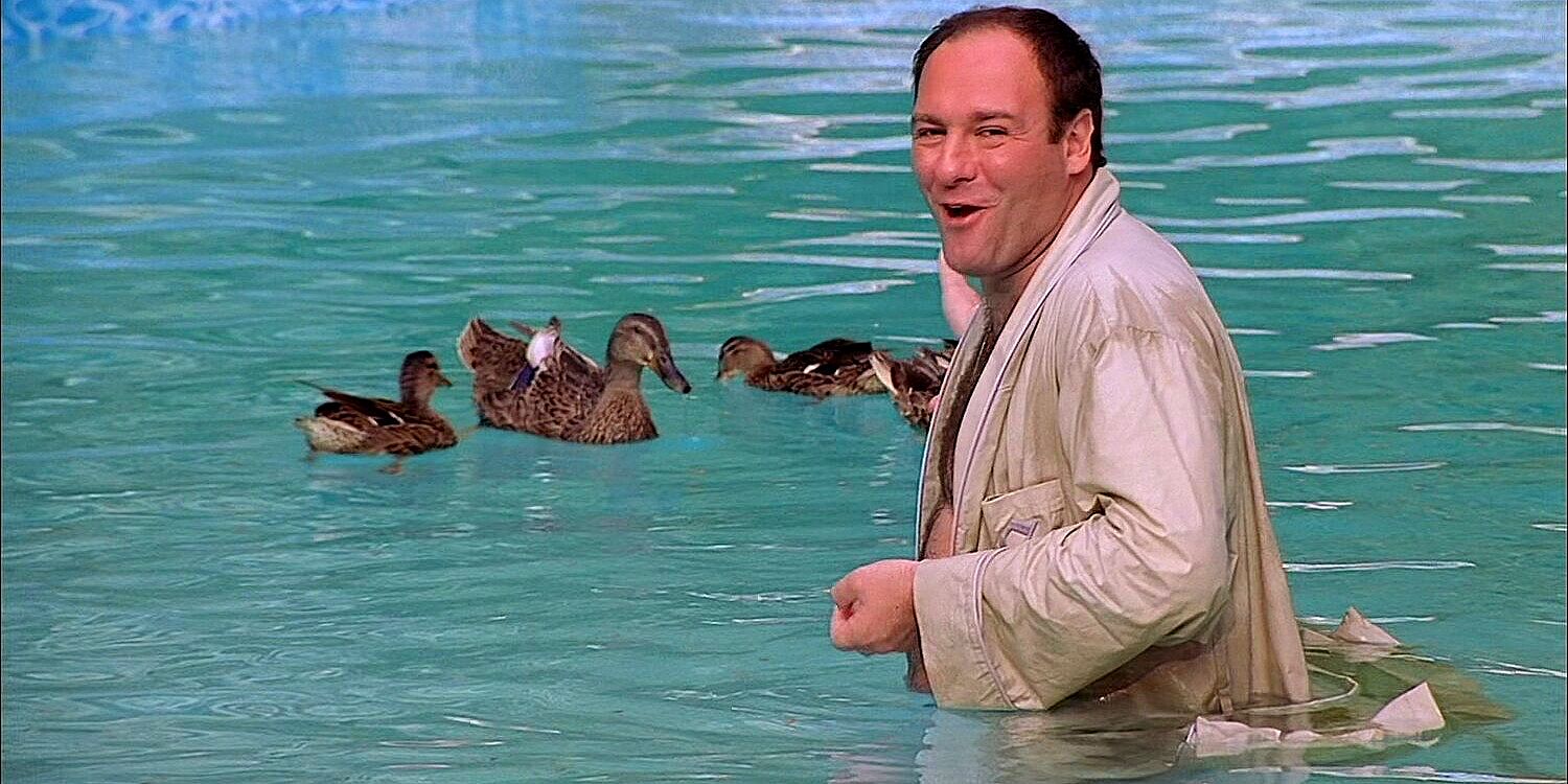 The Sopranos Why Tony Is Obsessed With The Ducks