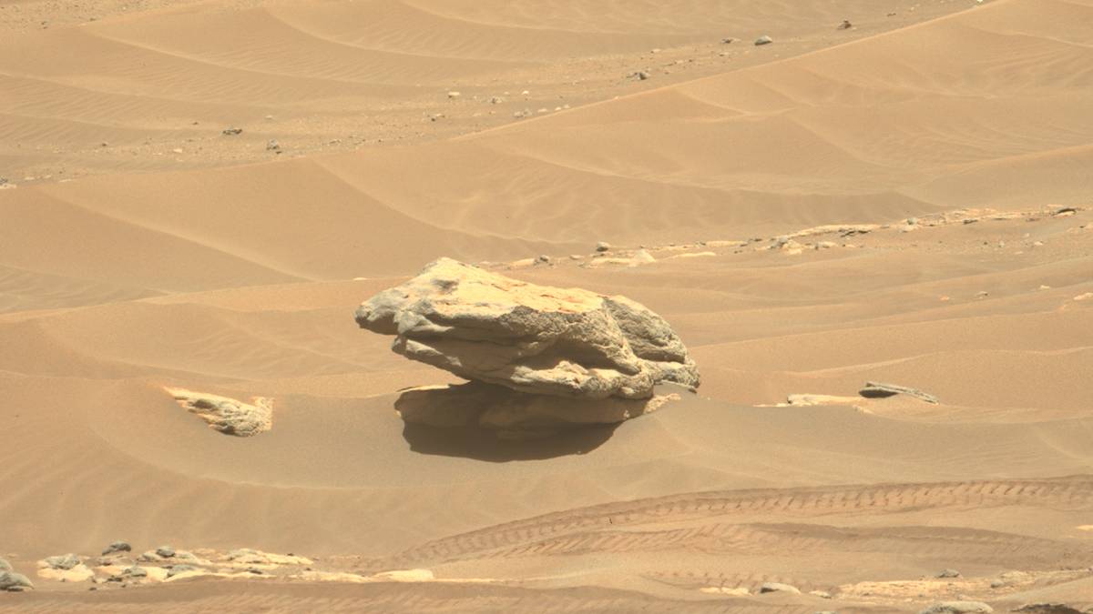 Perseverance Spots Freaky 'Mars Frog' Rock Hanging Out On The Sand