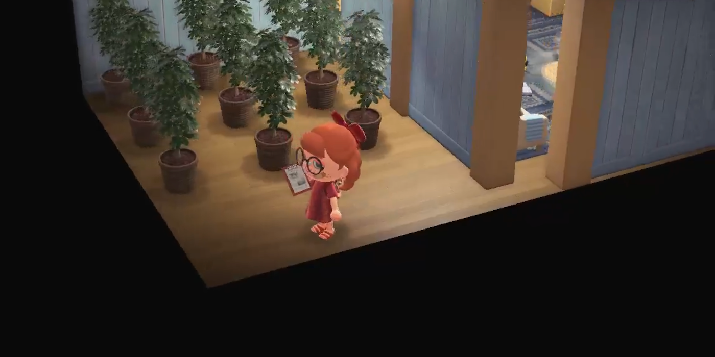 Animal Crossing Player Uses Partition Walls To Hide A Secret Room