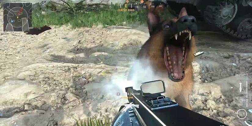 Enemy Dogs Cod Call of Duty: Vanguard's OP Attack Dogs Are Still A Problem