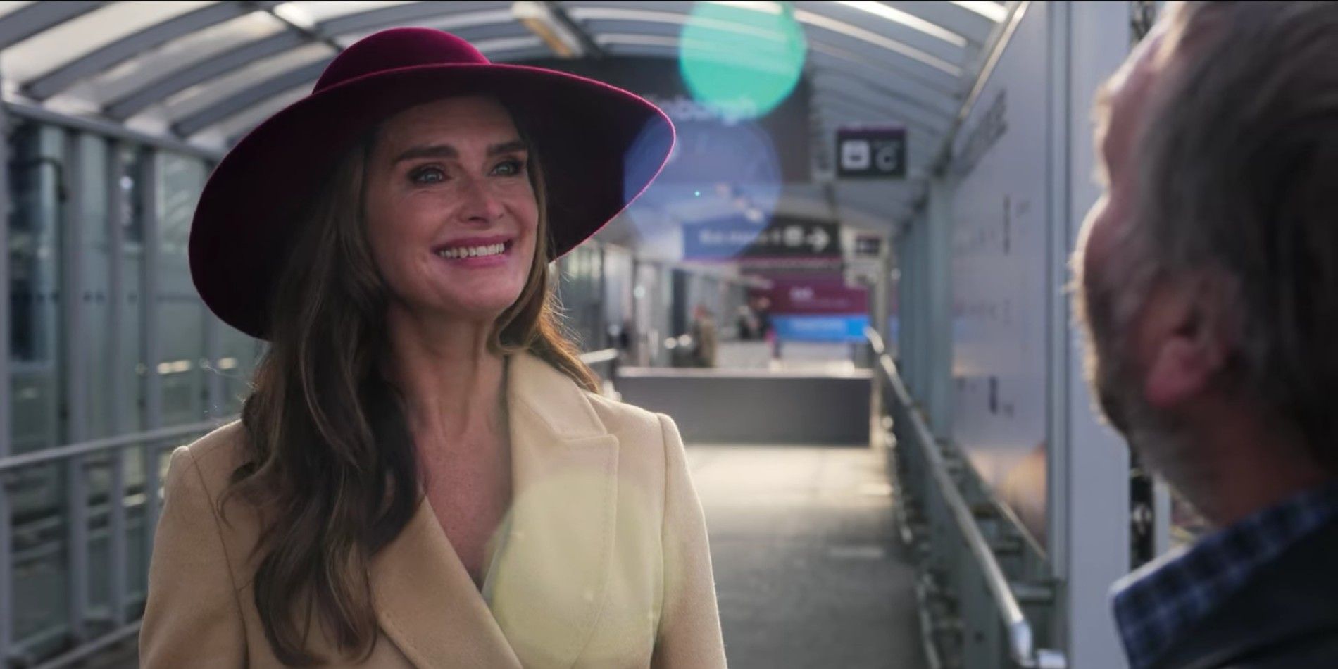 Brooke Shields New Netflix Movie Misfire Is More Upsetting After Her 3-Year-Old Rom-Com With 75% On RT