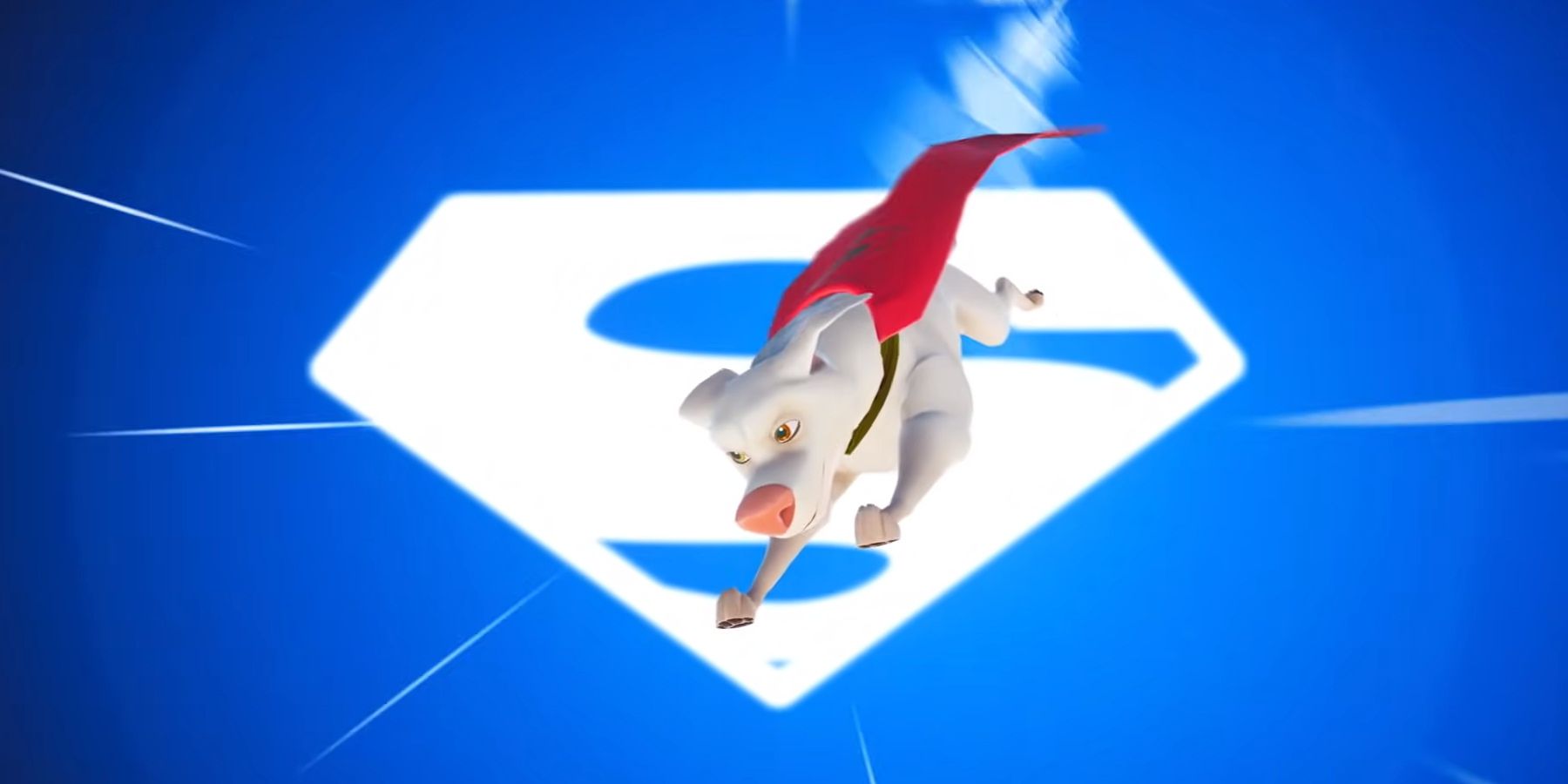 Every DC Hero in DC League of SuperPets The Adventures of Krypto and Ace