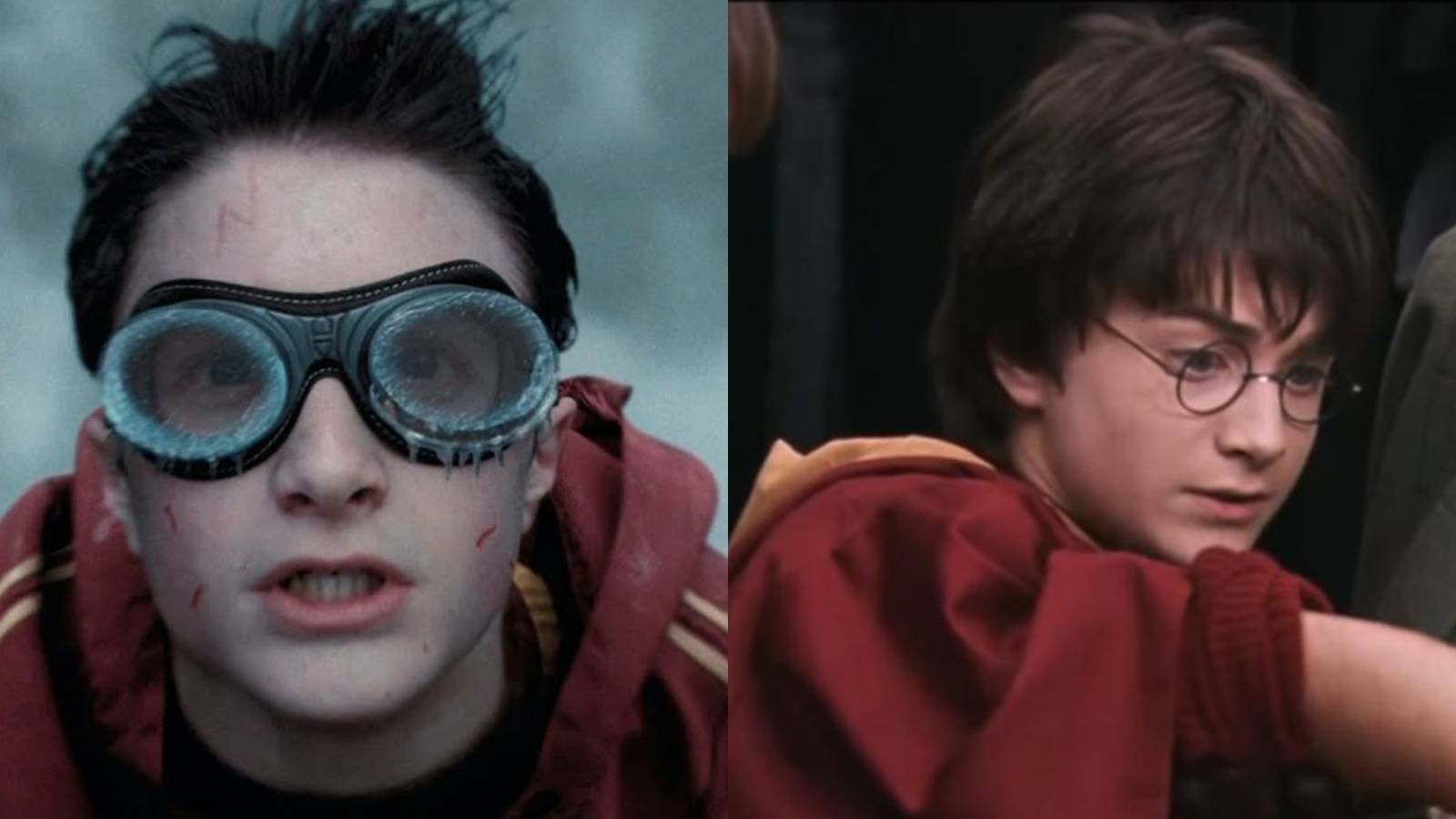Harry Potter's 10 Worst Injuries, Ranked