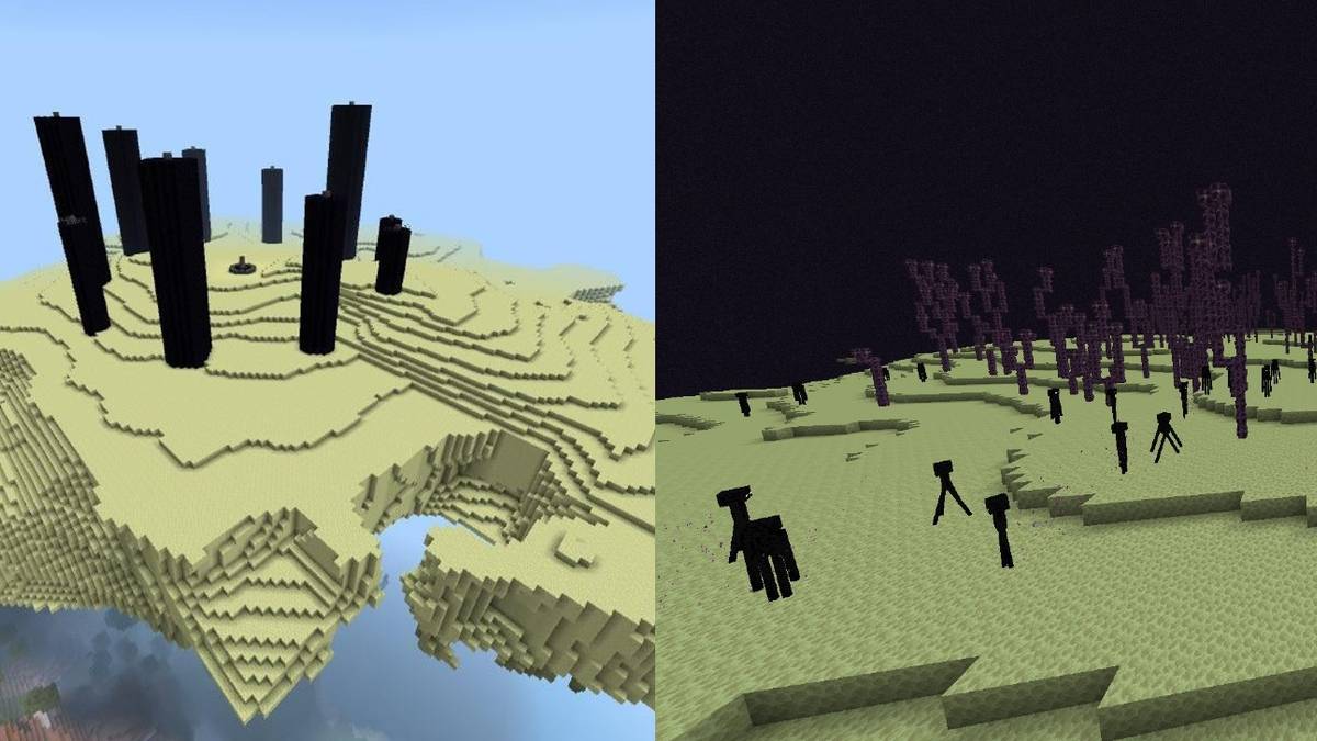 Minecraft Player Builds The End In Survival Server