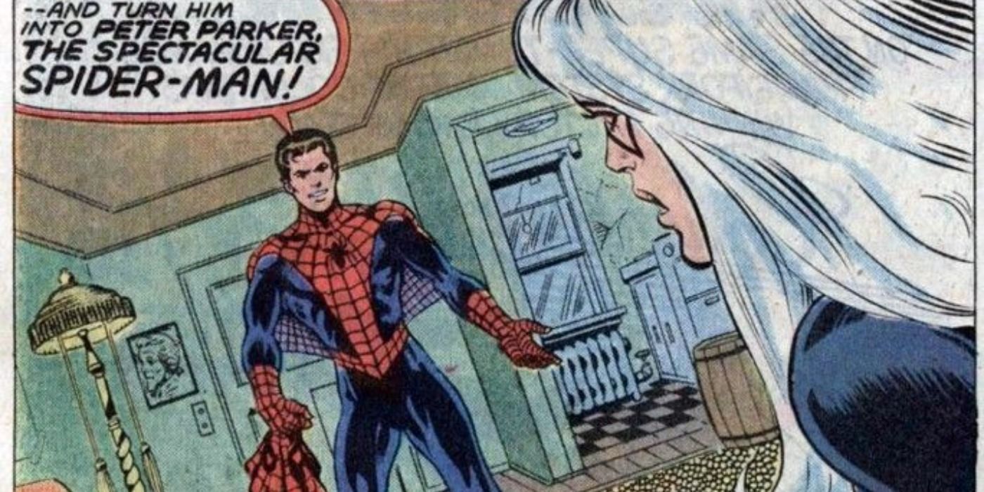 10 Things Only Comic Book Fans Know About SpiderMan & Black Cat’s Relationship