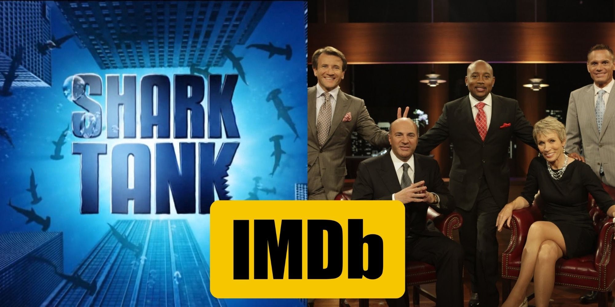 Shark Tank All 13 Seasons Ranked According To IMDb