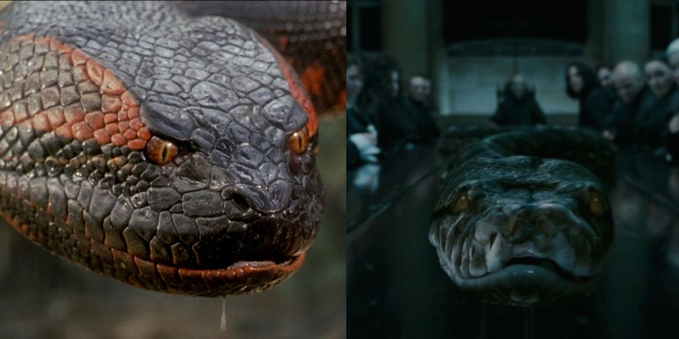 anaconda 2 movie snake