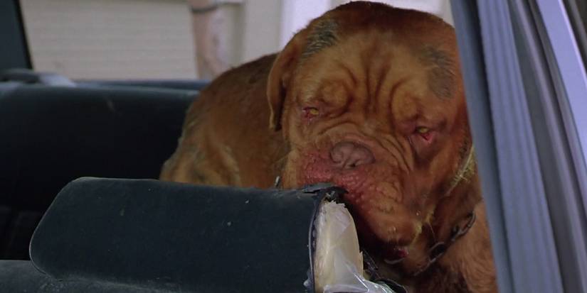Turner & Hooch (1989): The 10 Funniest Quotes From The Movie