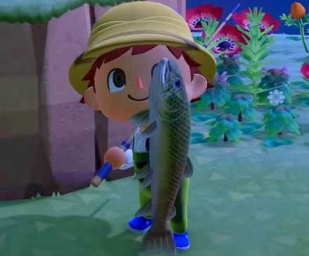 Руководство по ловле рыбы Stringfish в ACNH, демонстрирующее Stringfish