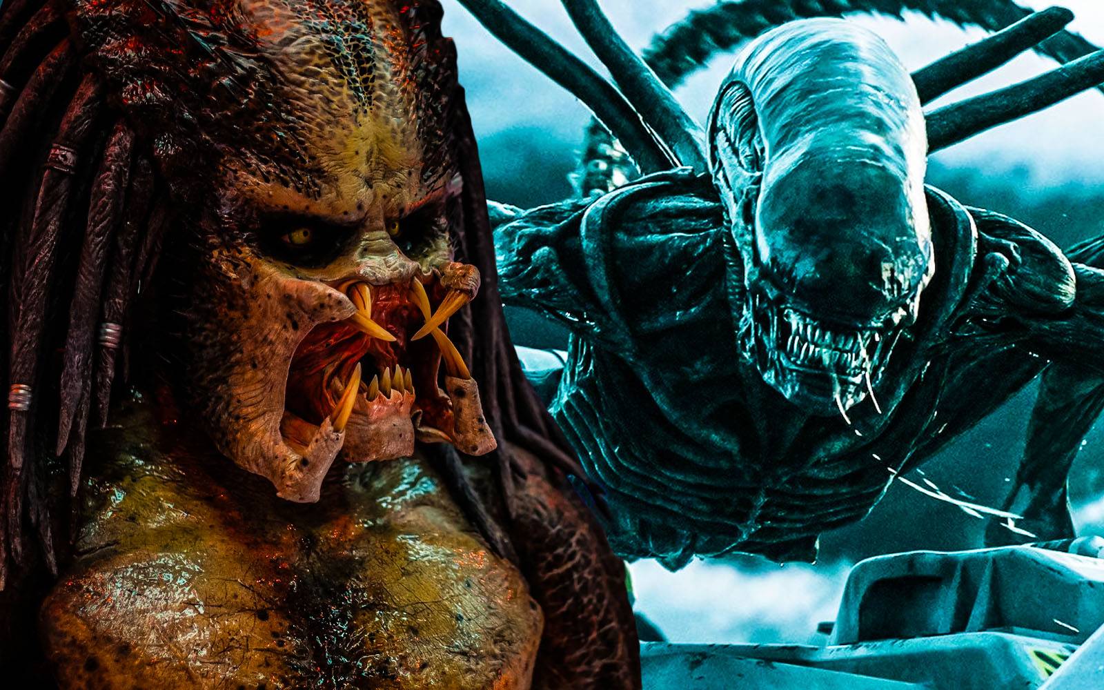 Alien Predader Predator Or Alien Which Is Better