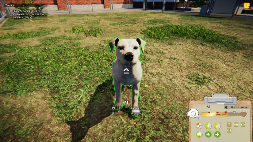 Animal Shelter Simulator Will Donate To Real Shelters Chosen By Players
