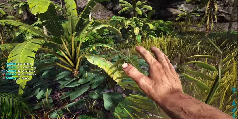 Ark: Survival Evolved Gathering Fiber