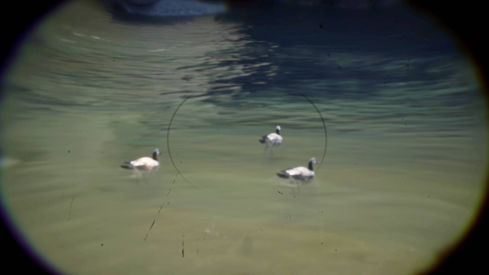 Goose Rdr2 RDR2: Geese Locations & Hunting Guide
