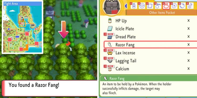 Pokémon BDSP Razor Fang Location Guide