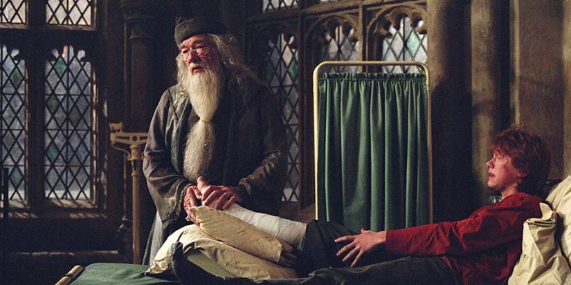 Harry Potter: Why Michael Gambon Is The Best Dumbledore (& Why Richard ...