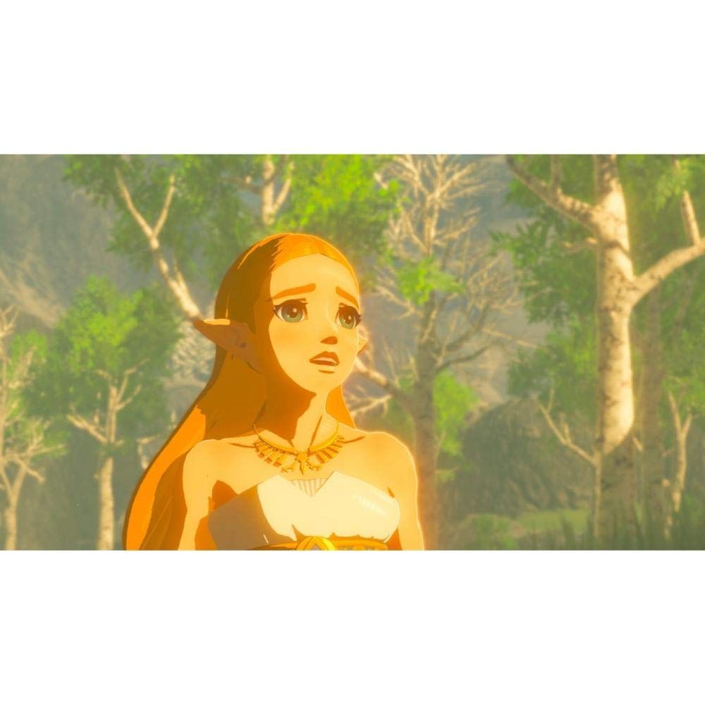 TLoZ BotW (3)