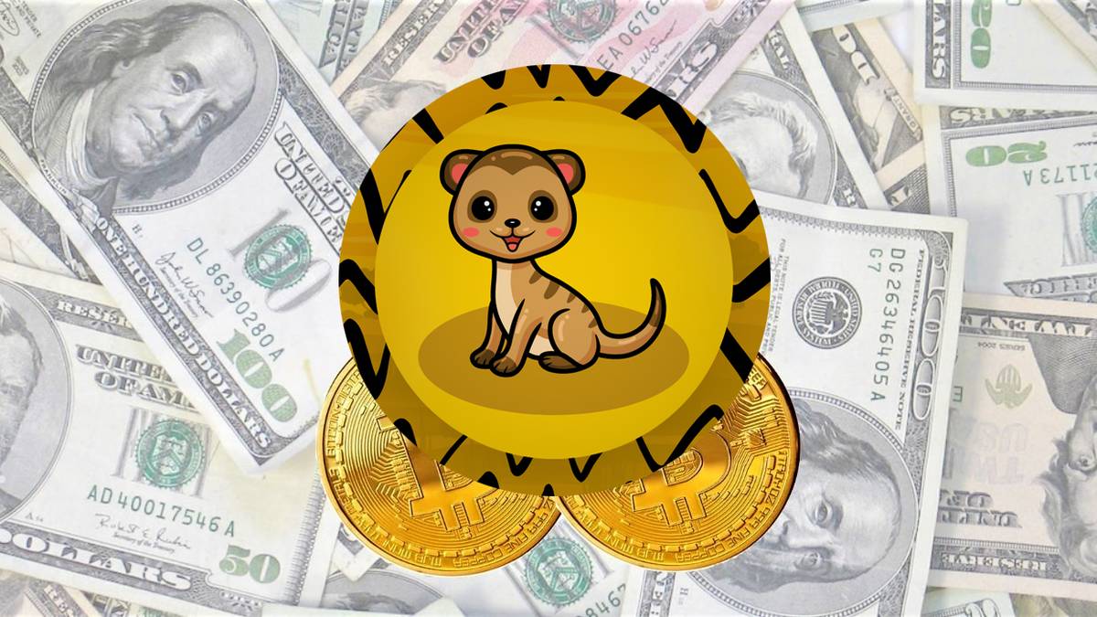 Lawmaker Jokes About 'Mongoose Coin' Crypto, Now It's Real... And Climbing