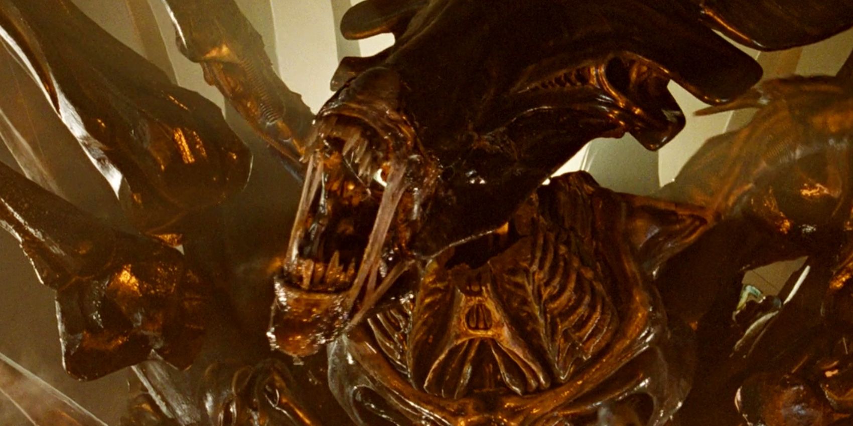 El reemplazo del Facehugger de Prometheus demuestra el mayor problema actual de la franquicia alienígena