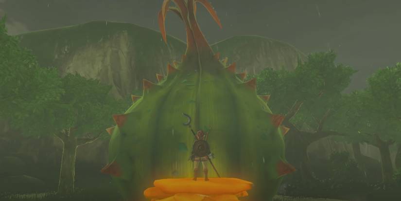 Cotera can be found in the Great Fairy Fountain outside of Kakariko Village in Breath of the Wild.
