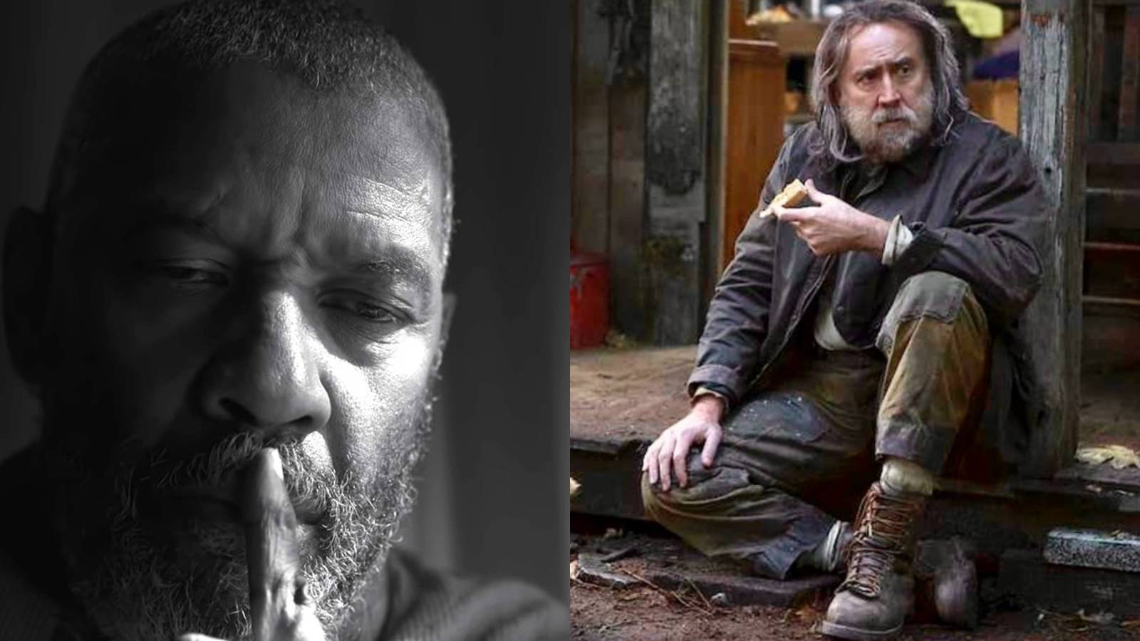10 Best Thriller Movies Of 2021, According To Rotten Tomatoes
