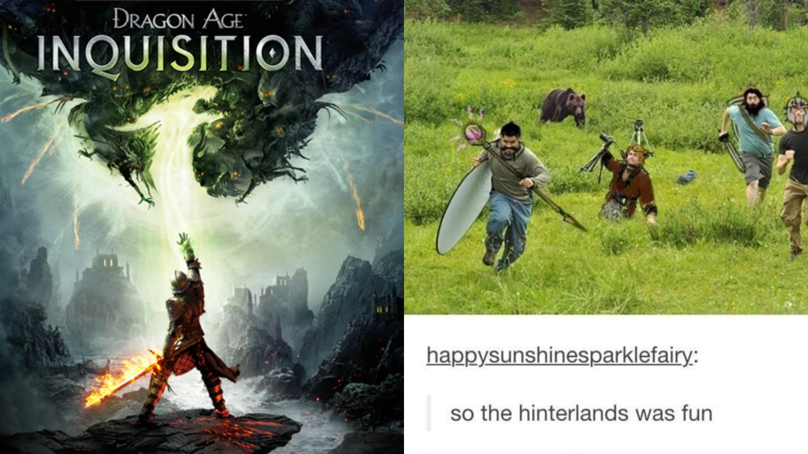 10 Memes That Sum Up Dragon Age: Inquisition