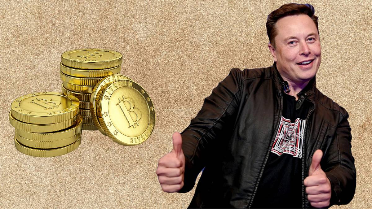 Elon Musk Thinks He Cracked Mystery Of Bitcoin Creator