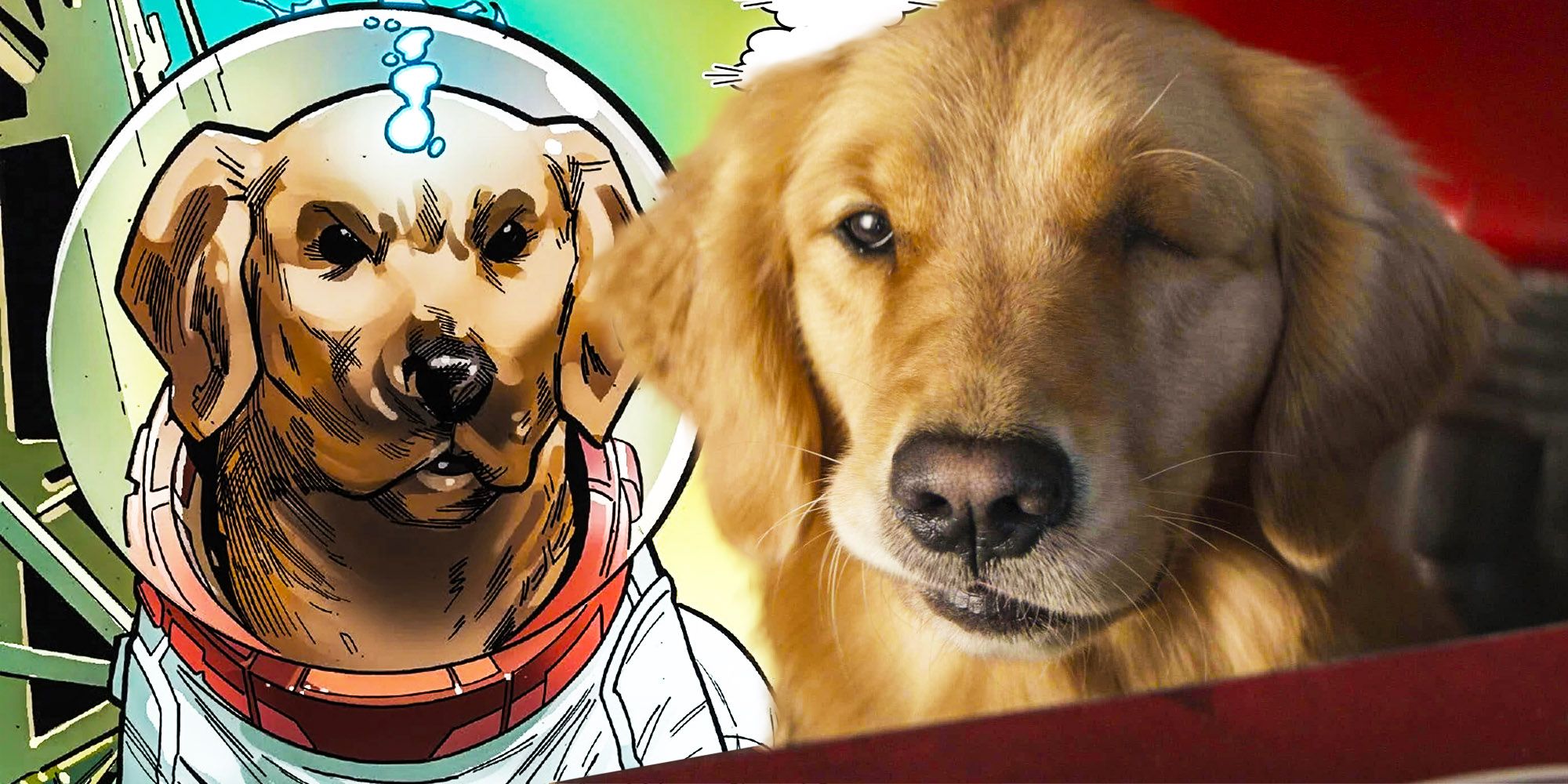 Hawkeye’s Pizza Dog Has A Secret Identity Theory Explained