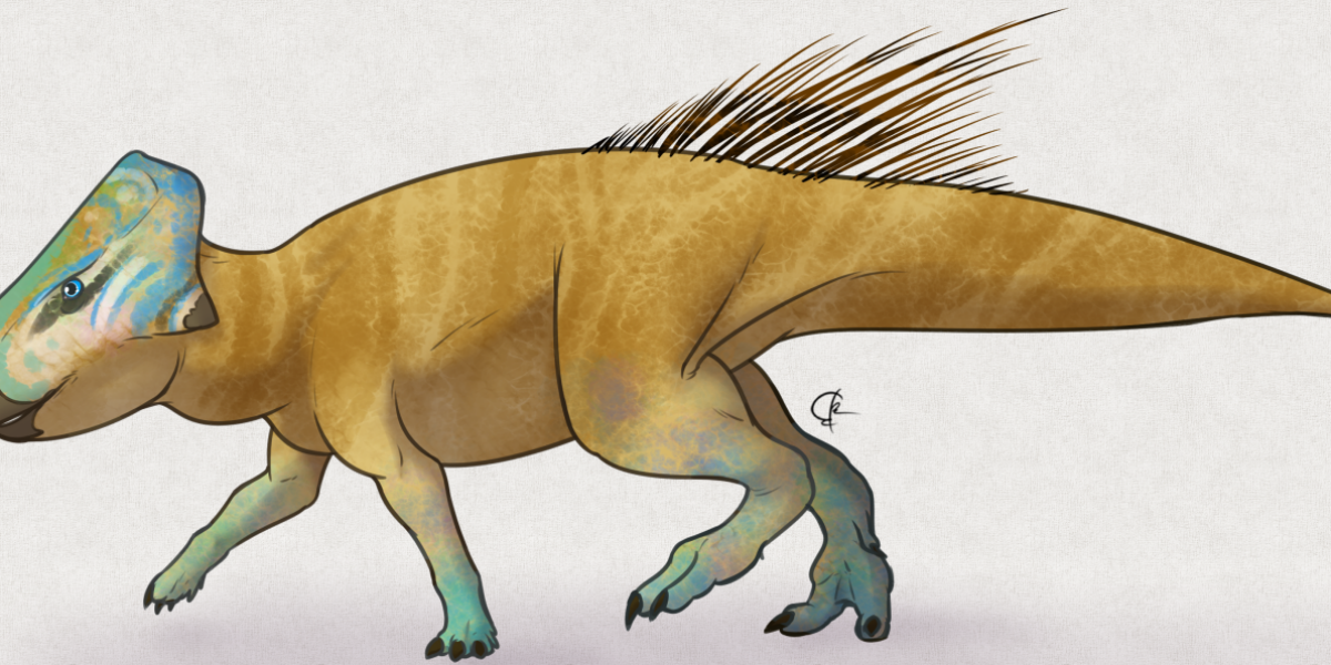 Microceratus dinosaur