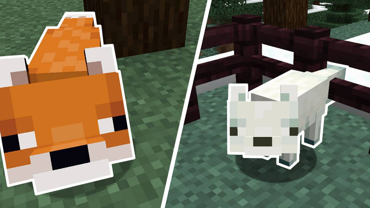 Minecraft Fox Update Minecraft Fox #LEGO New Set #Minecraft #21588 The Fox