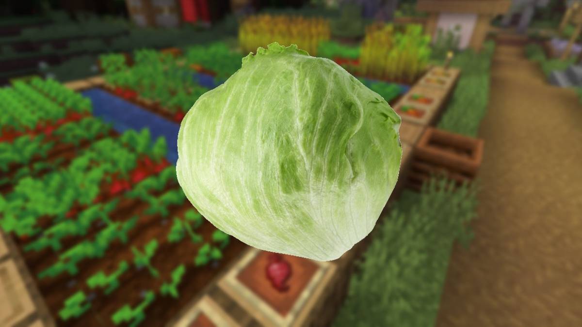 Minecraft Player Uses Creeper Heads In Farm as Heads of Lettuce