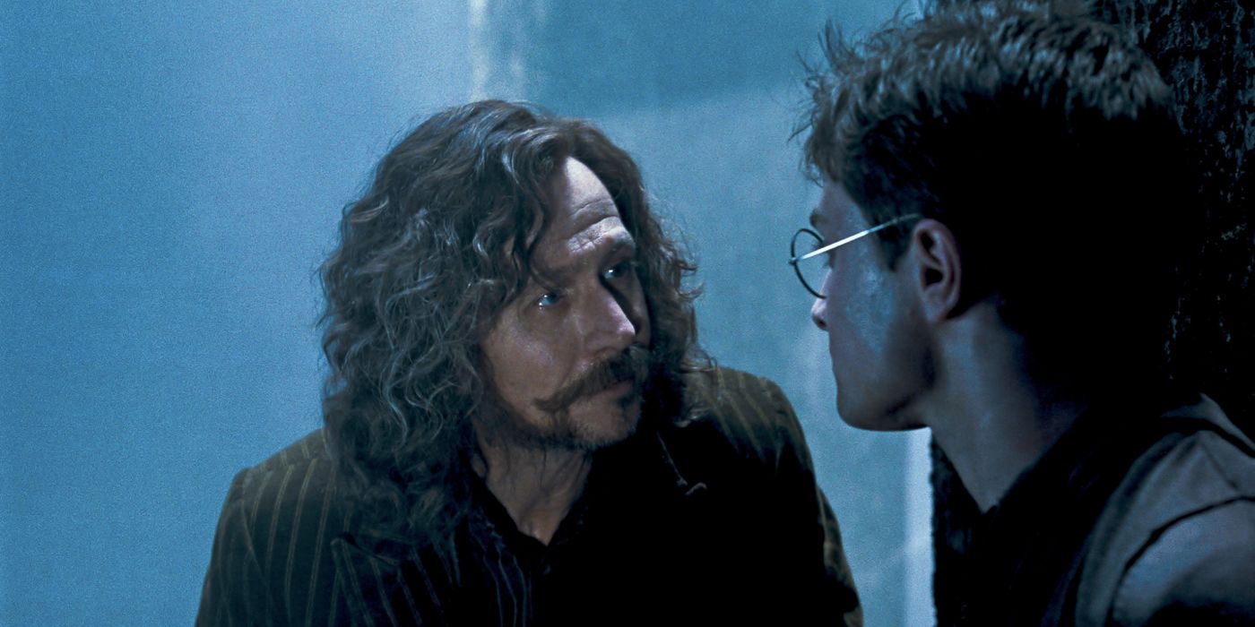 Sirius and Harry