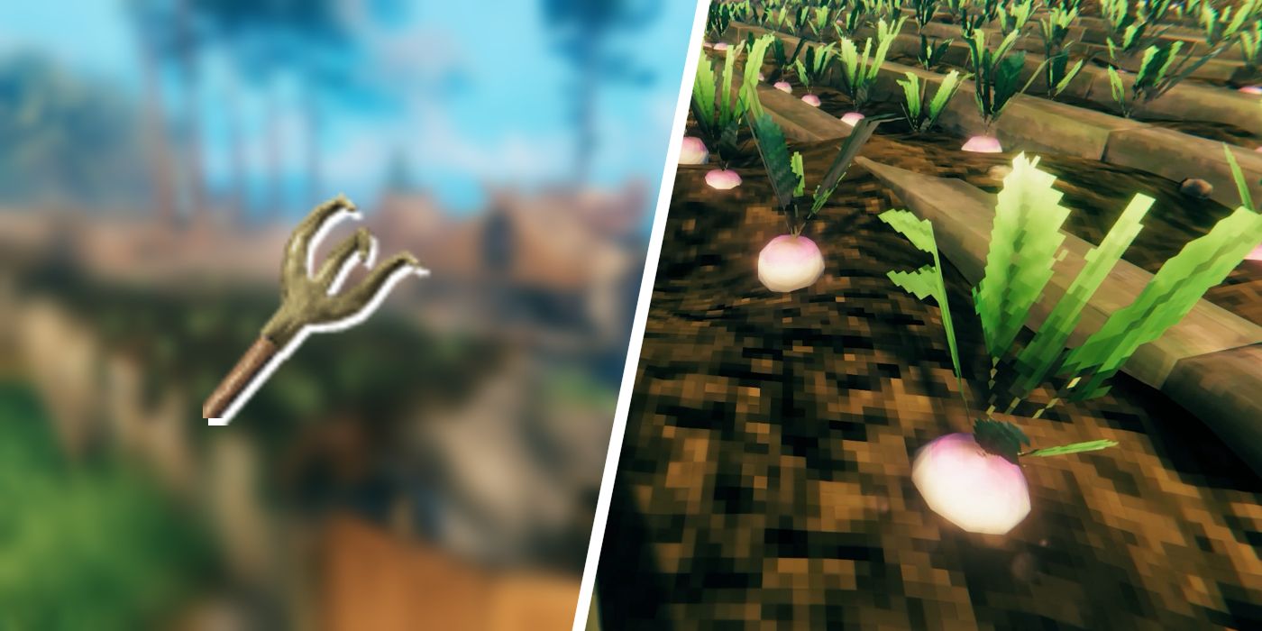 VALIEM willing plant BOWL-Ｌ VALIEM willing plant BOWL-L VALIEM willing plant BOWL-L VALIEM