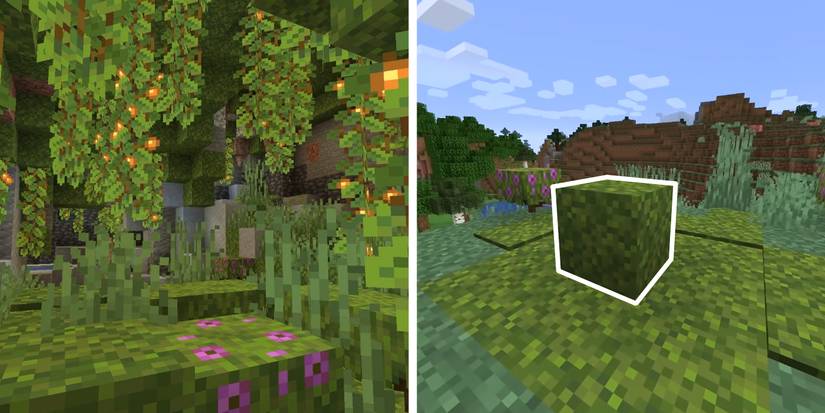 Moss Block Java Minecraft Minecraft: How to Get (& Use) Moss Blocks