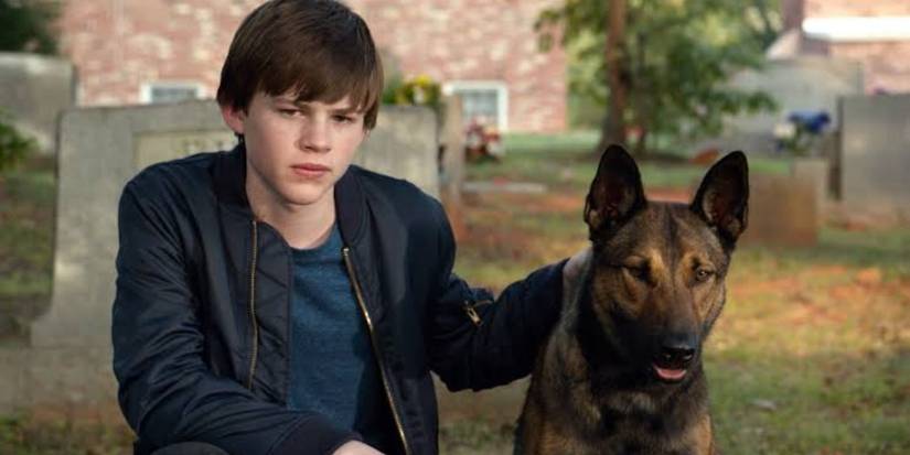 Best Movies Like Dog