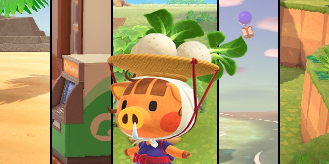 Can You Grow Turnips In Animal Crossing: New Horizons