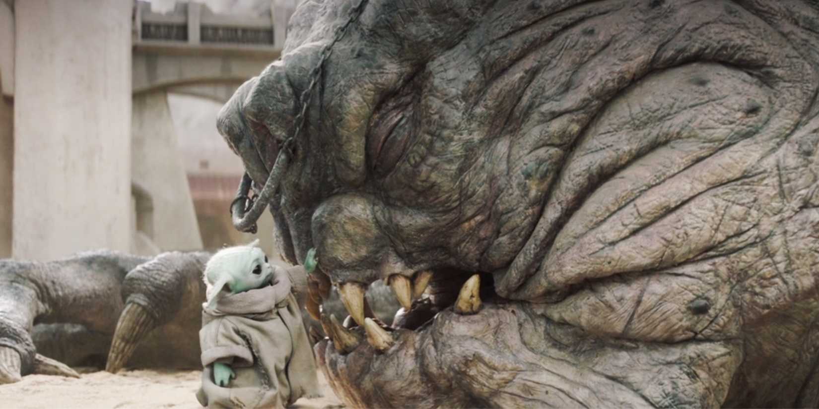 Grogu acalmando um Rancor