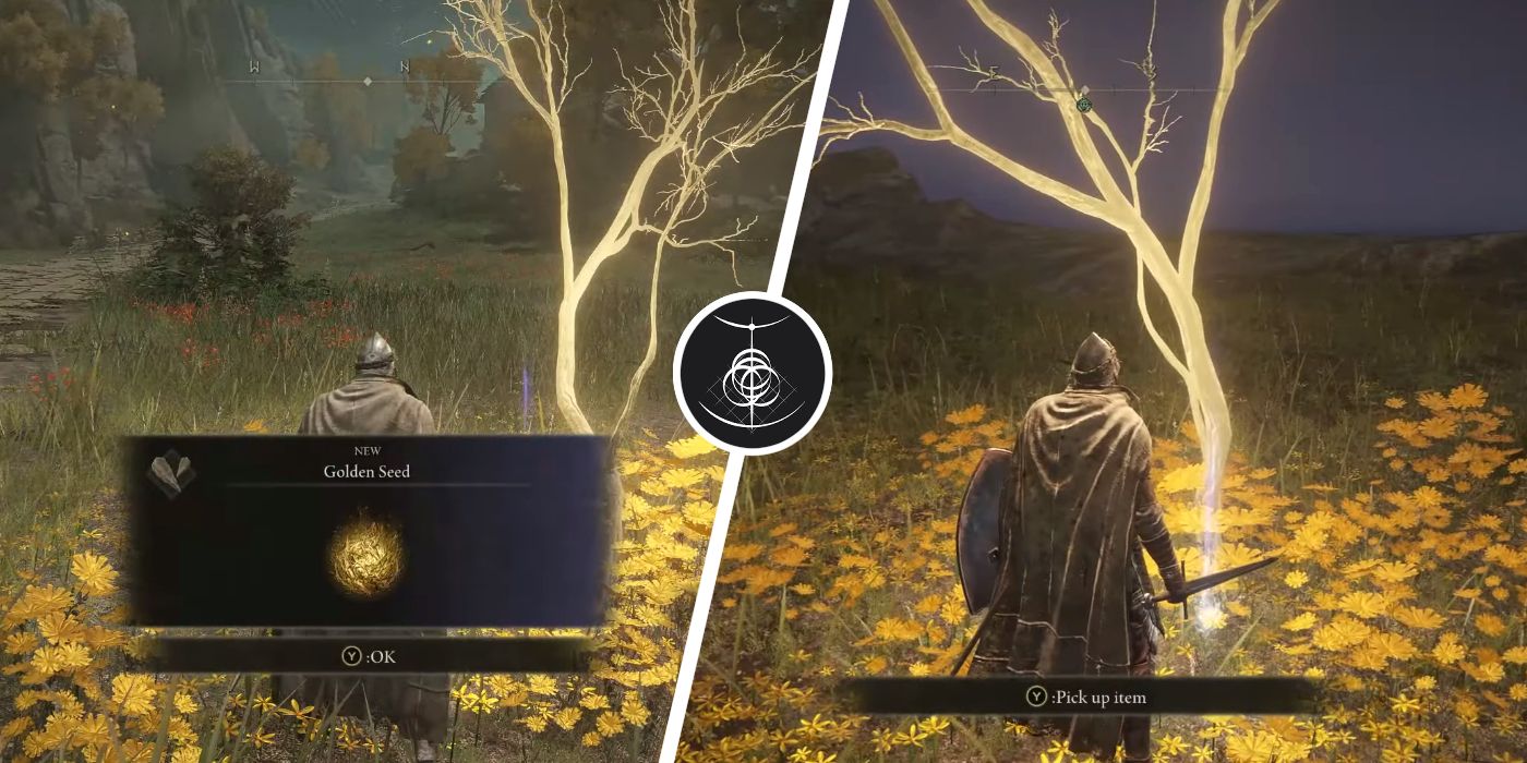 Elden Ring All Limgrave Golden Seed Locations Screen Rant