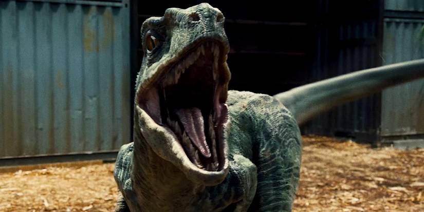 Jurassic World: 10 Facts About The Velociraptors Only Hardcore Fans Know