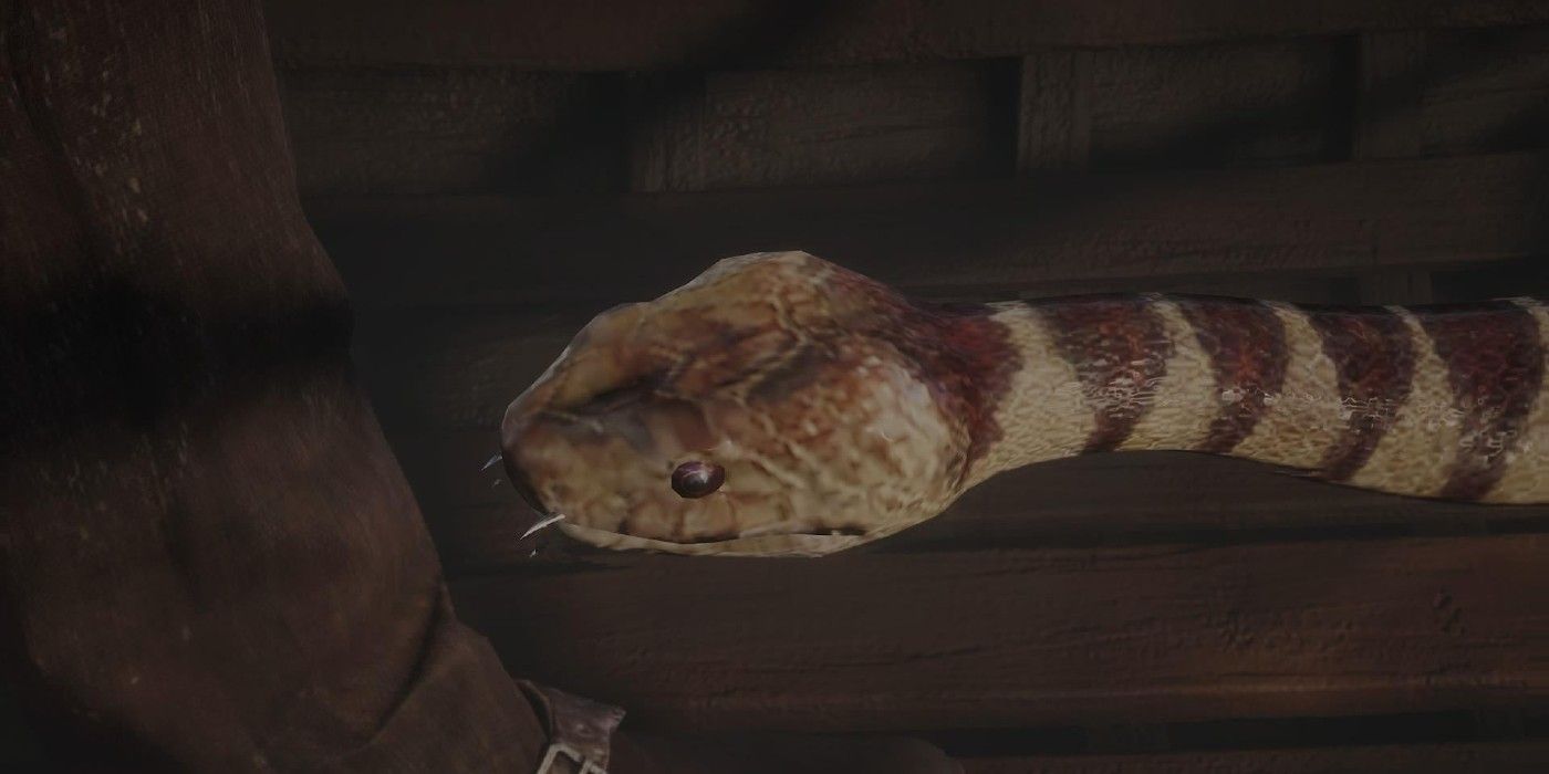 10 Red Dead Redemption 2 Animals That Are Way Too Hard To Hunt