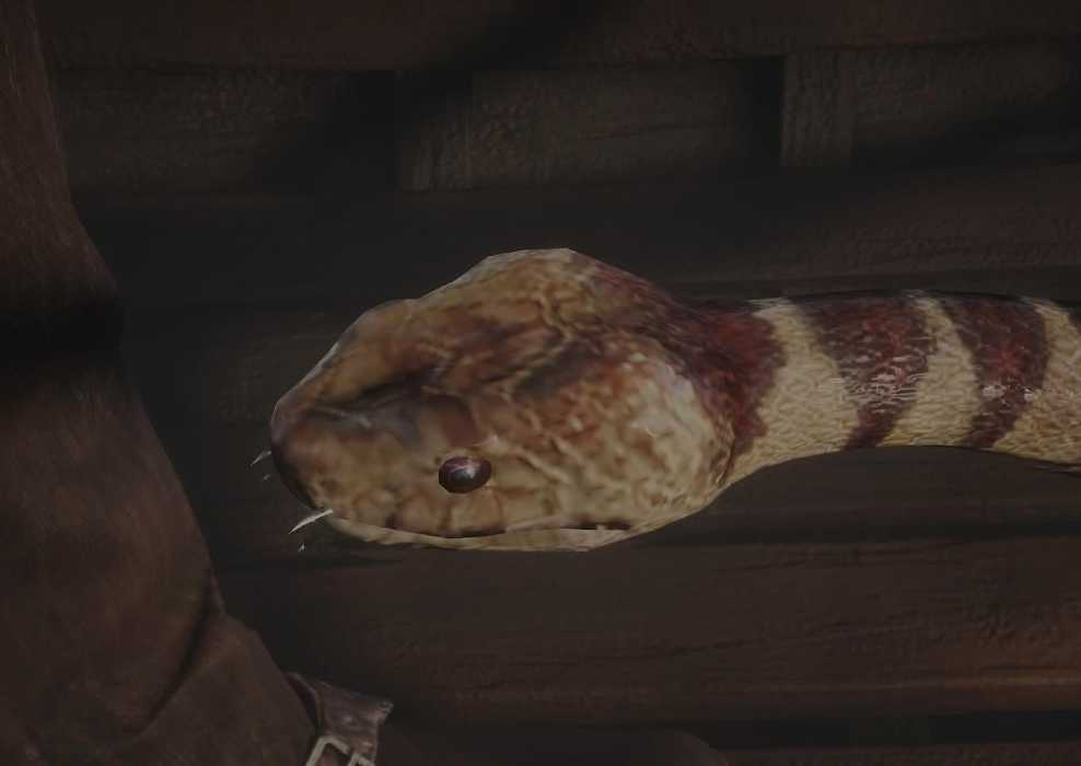Lizard Rdr2 10 Red Dead Redemption 2 Animals That Are Way Too Hard To Hunt