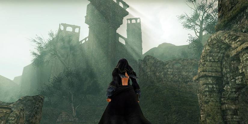 A player exploring the Shaded Woods in Dark Souls 2.