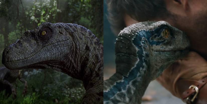 Blue Rapor Jurassic World: 10 Facts About The Velociraptors Only Hardcore Fans Know