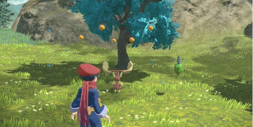 A player catching Cherrim In Pokémon Legends: Arceus in front of a blue tree