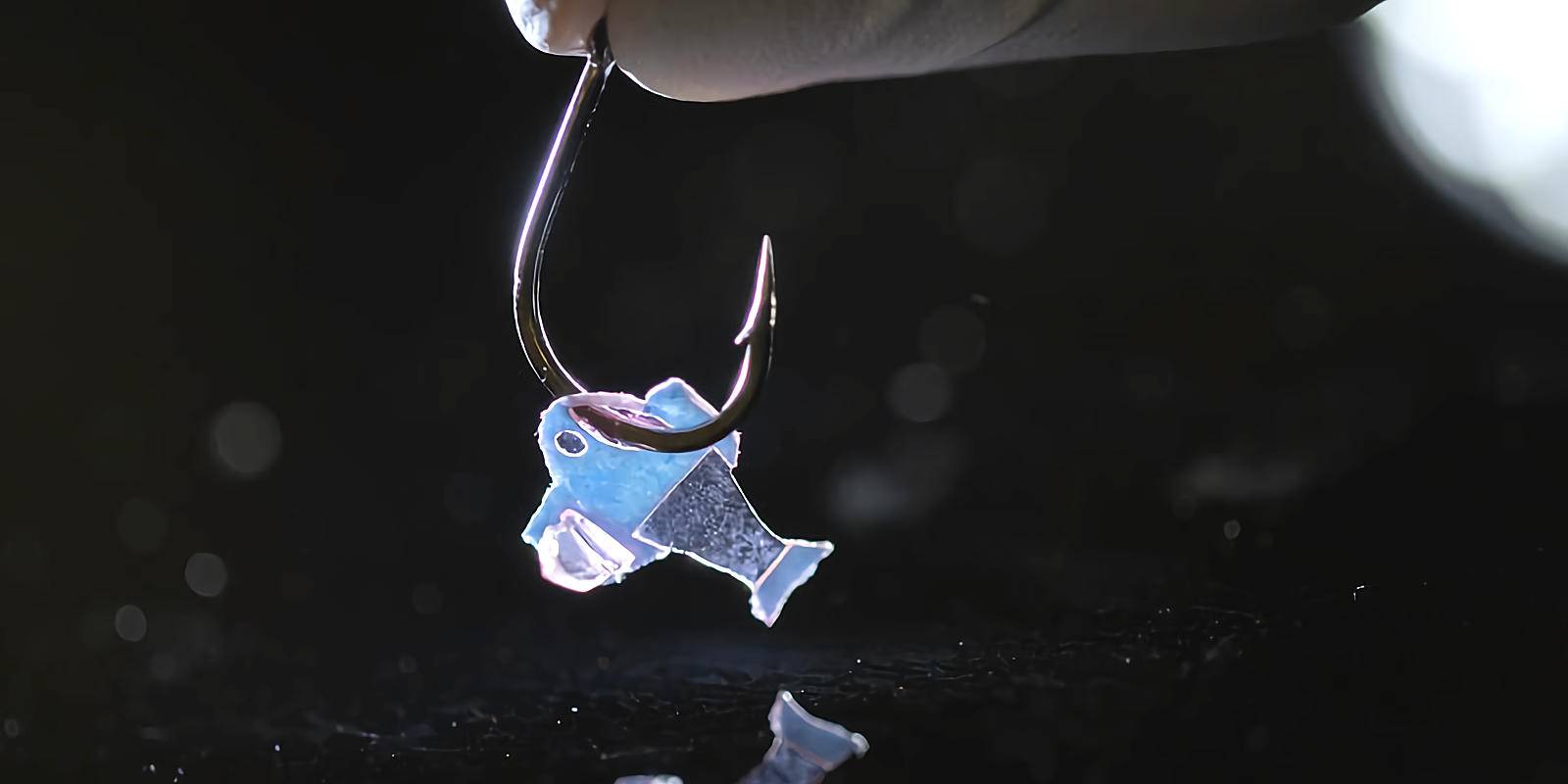 Watch A Cyborg Fish Powered By Human Heart Cells Swim