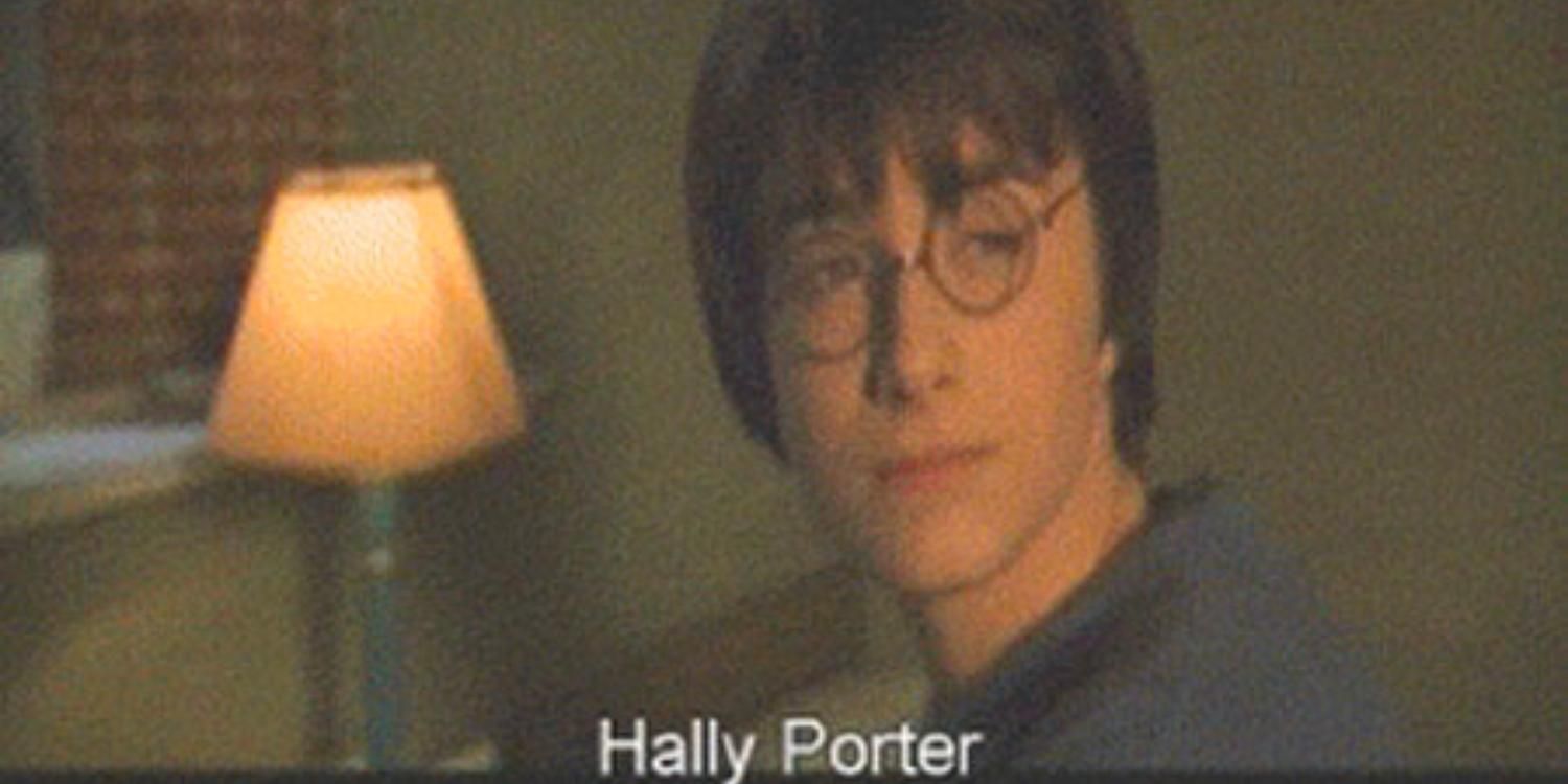 An image of Harry Potter subtitled Hally Porter