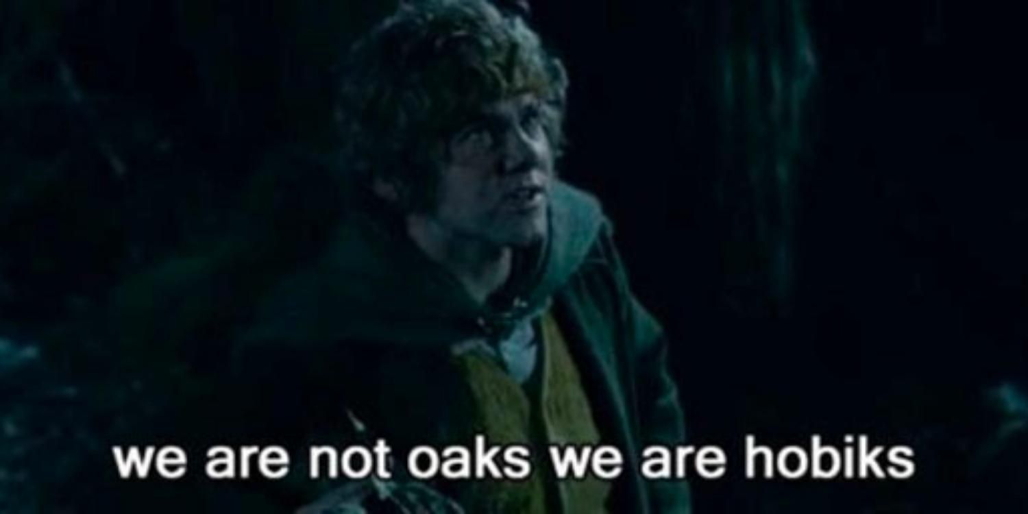An image of Merry subtitled we are not oaks we are hobiks