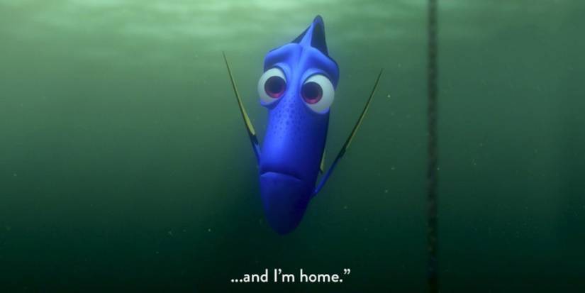 10 Quotes That Prove Dory & Marlin Have The Best Disney Friendship